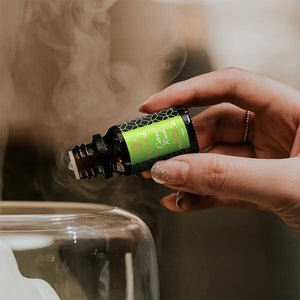 Citrus Rush Fragrance Oil , 10ml