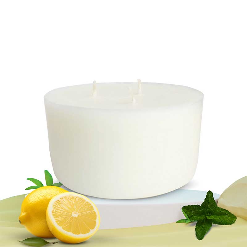 Sea &amp; Sun Scented 3 Wick Refill Candle