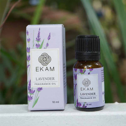 Lavender Fragrance Oil, 10 ml