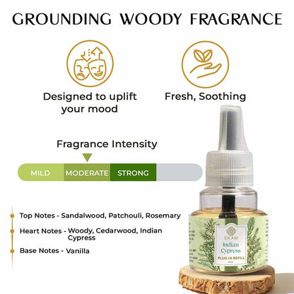 Indian Cypress Scented Plug In Air Freshener Kit