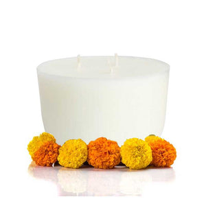 Temple Bloom Scented 3 Wick Refill Candle