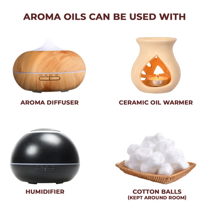 Camphor Fragrance Oil, 10 ml