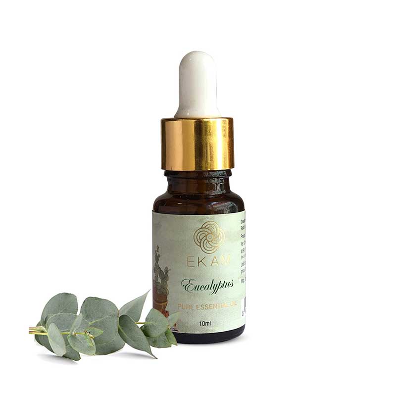 Eucalyptus Essential Oil, 10 ml