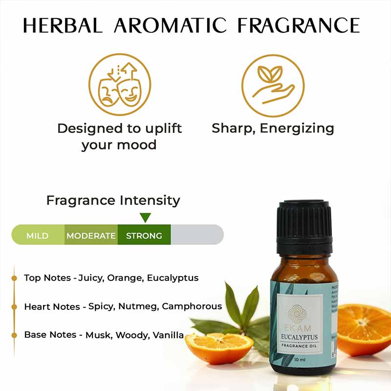 Eucalyptus Fragrance Oil, 10 ml
