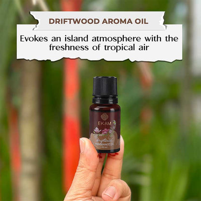 Driftwood Fragrance Oil, 10ml