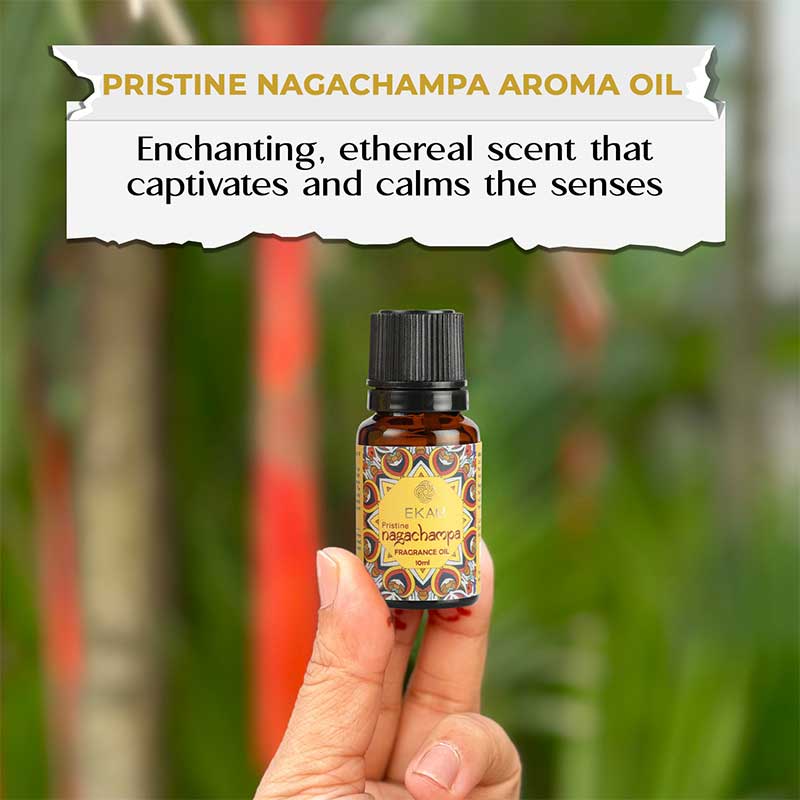 Pristine Nagachampa Fragrance Oil, 10ml