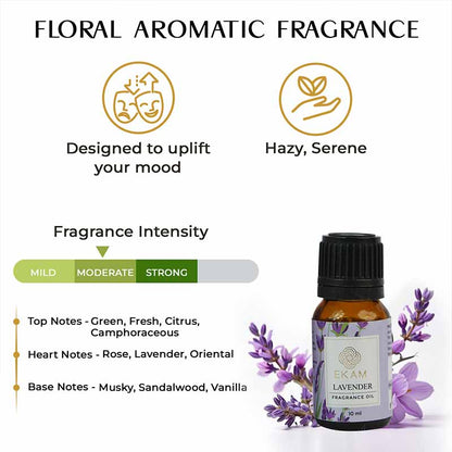 Lavender Fragrance Oil, 10 ml