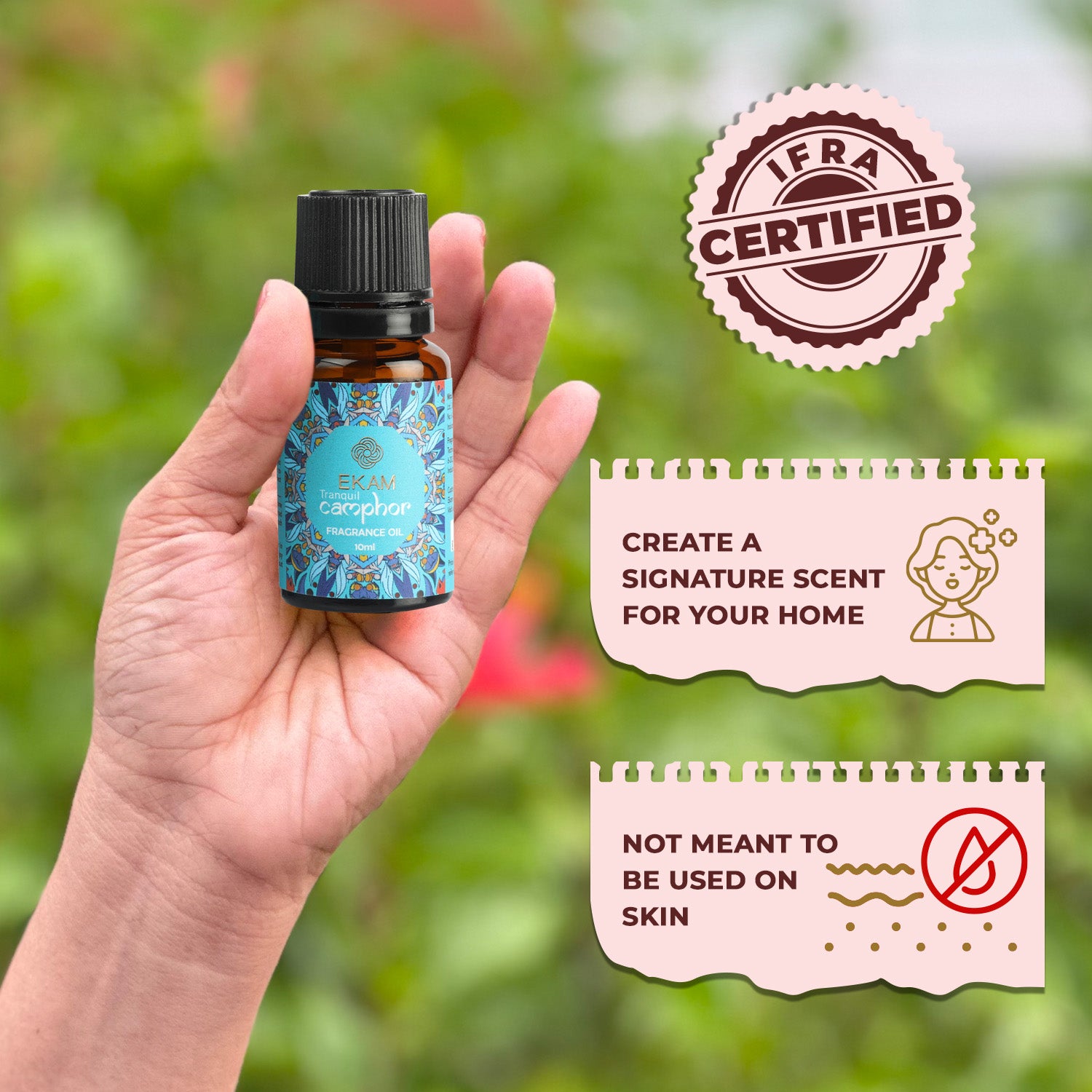 Camphor Fragrance Oil, 10 ml