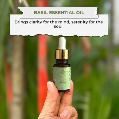 Basil Essential Oil, 10 ml