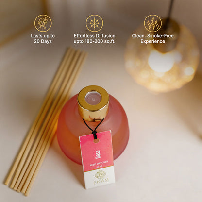 Rose Frosted Glass Reed Diffuser Set for Home, 60 ml