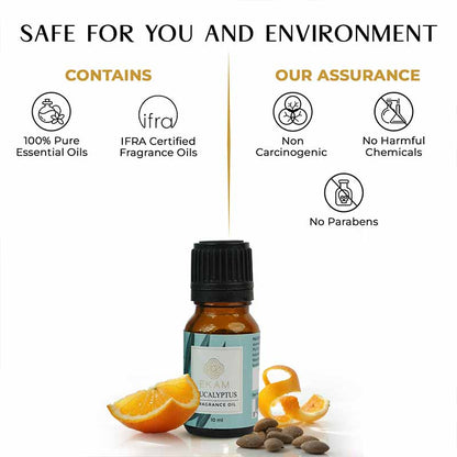 Eucalyptus Fragrance Oil, 10 ml