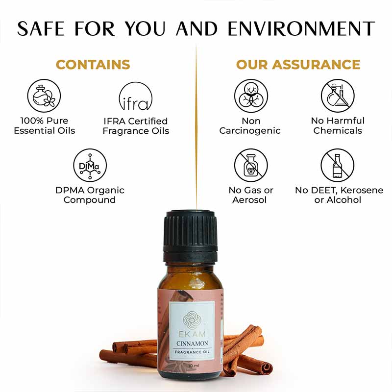 Cinnamon Fragrance Oil, 10 ml