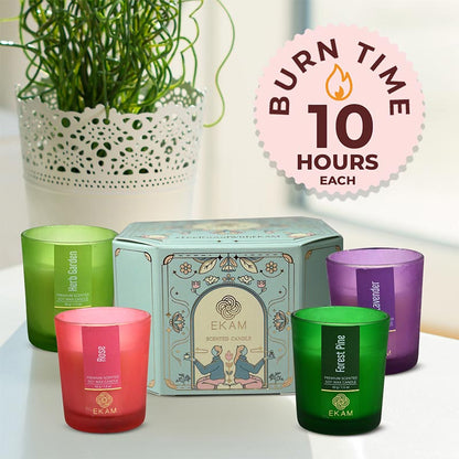 4 Pack Candles Gift Set| Frosted Pine, Herb Garden, Lavender, Rose