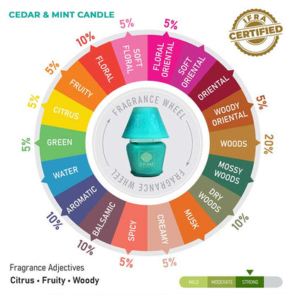 Cedar &amp; Mint Lampshade Scented Candle