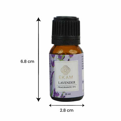 Lavender Fragrance Oil, 10 ml