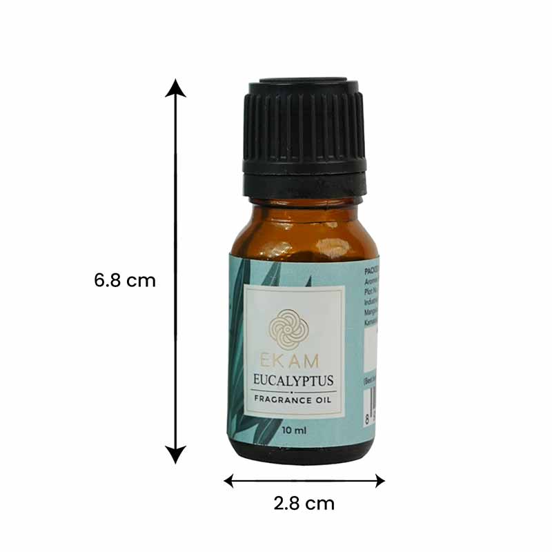 Eucalyptus Fragrance Oil, 10 ml
