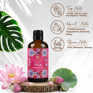 Sacred Lotus Aroma Oil, 100ml