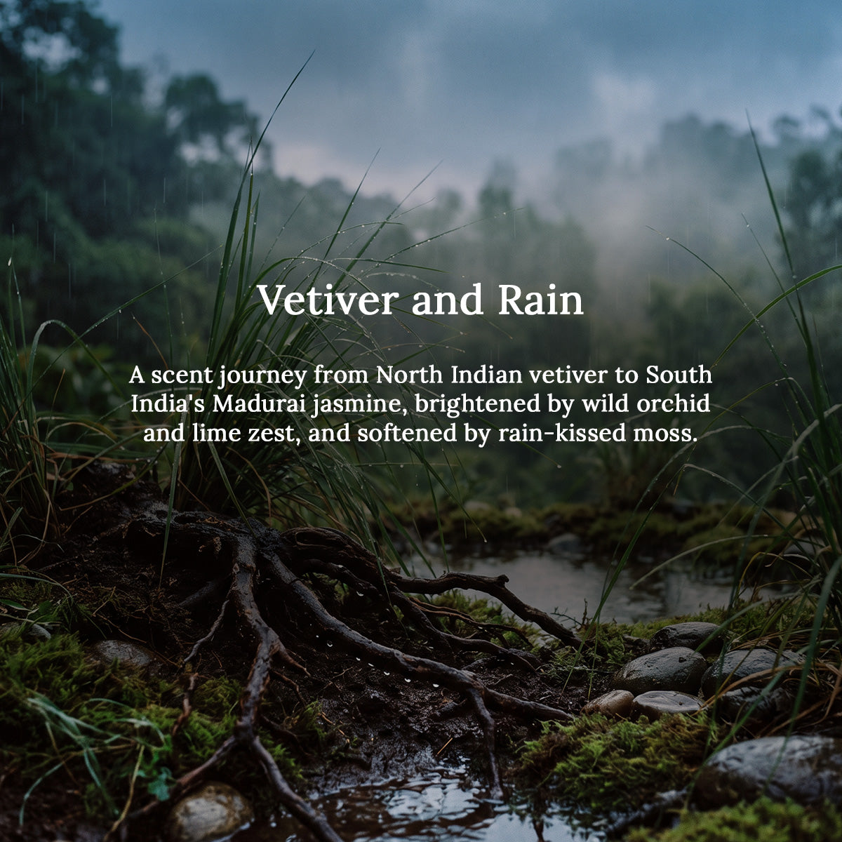 VETIVER &amp; RAIN REED DIFFUSER - 50ml