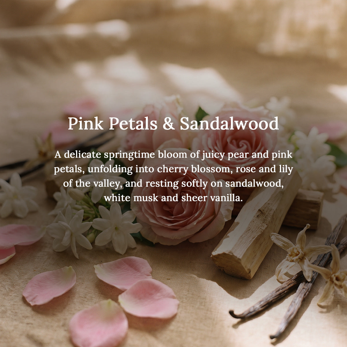 PINK PETALS &amp; SANDALWOOD POTPOURRI PACK
