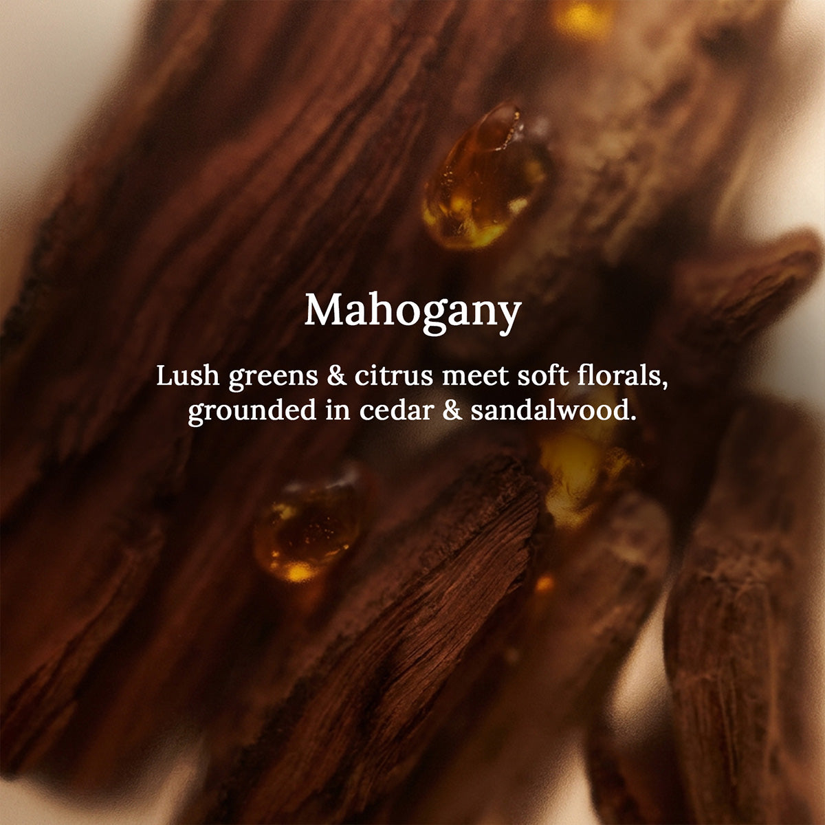 Mahogany Ring Jar Scented Candle