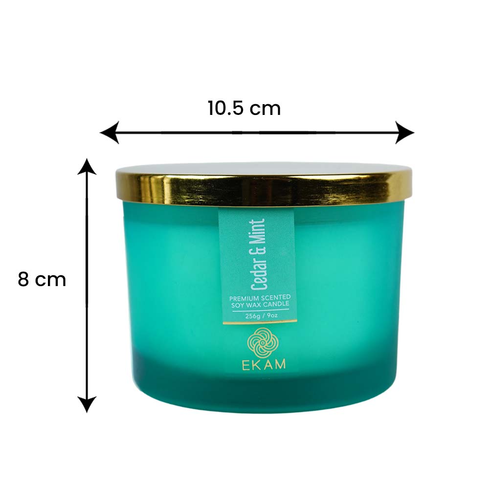 Cedar &amp; Mint 3 Wick Scented Candle