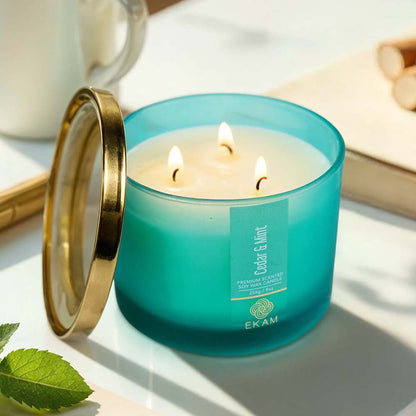 Cedar &amp; Mint 3 Wick Scented Candle