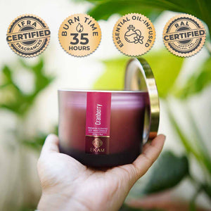 Cranberry 3 Wick Scented Candle