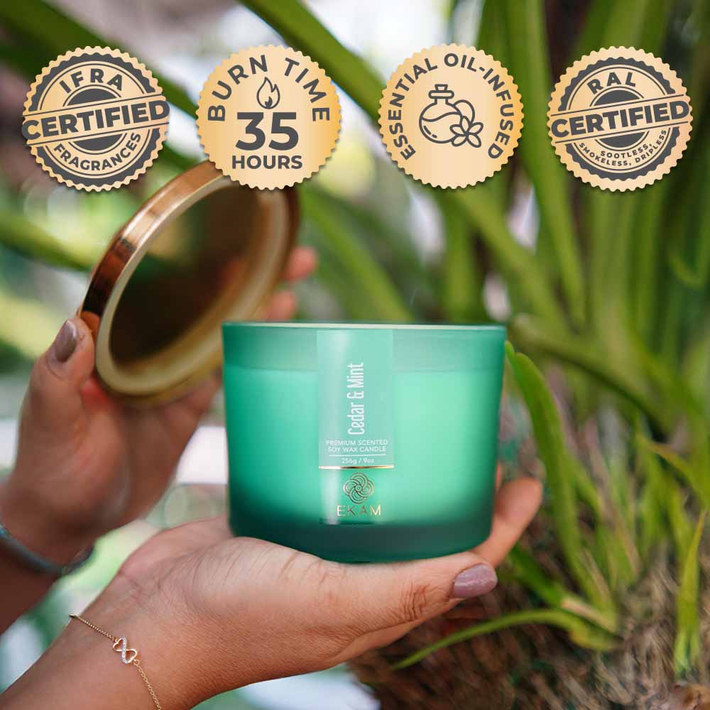 Cedar &amp; Mint 3 Wick Scented Candle