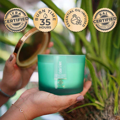 Cedar &amp; Mint 3 Wick Scented Candle