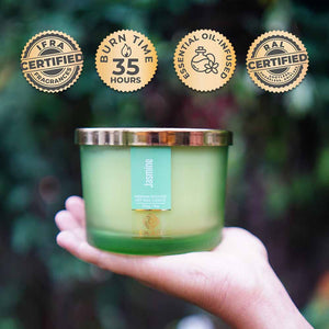 Jasmine 3 Wick Scented Candle