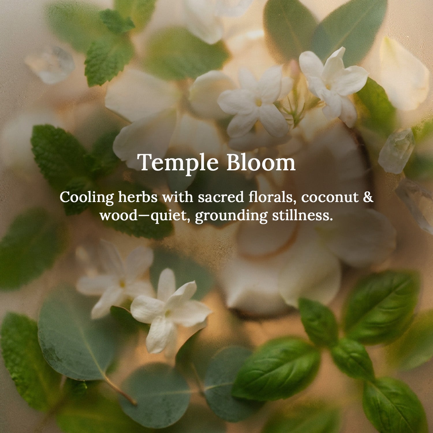 Temple Bloom Lampshade Scented Candle
