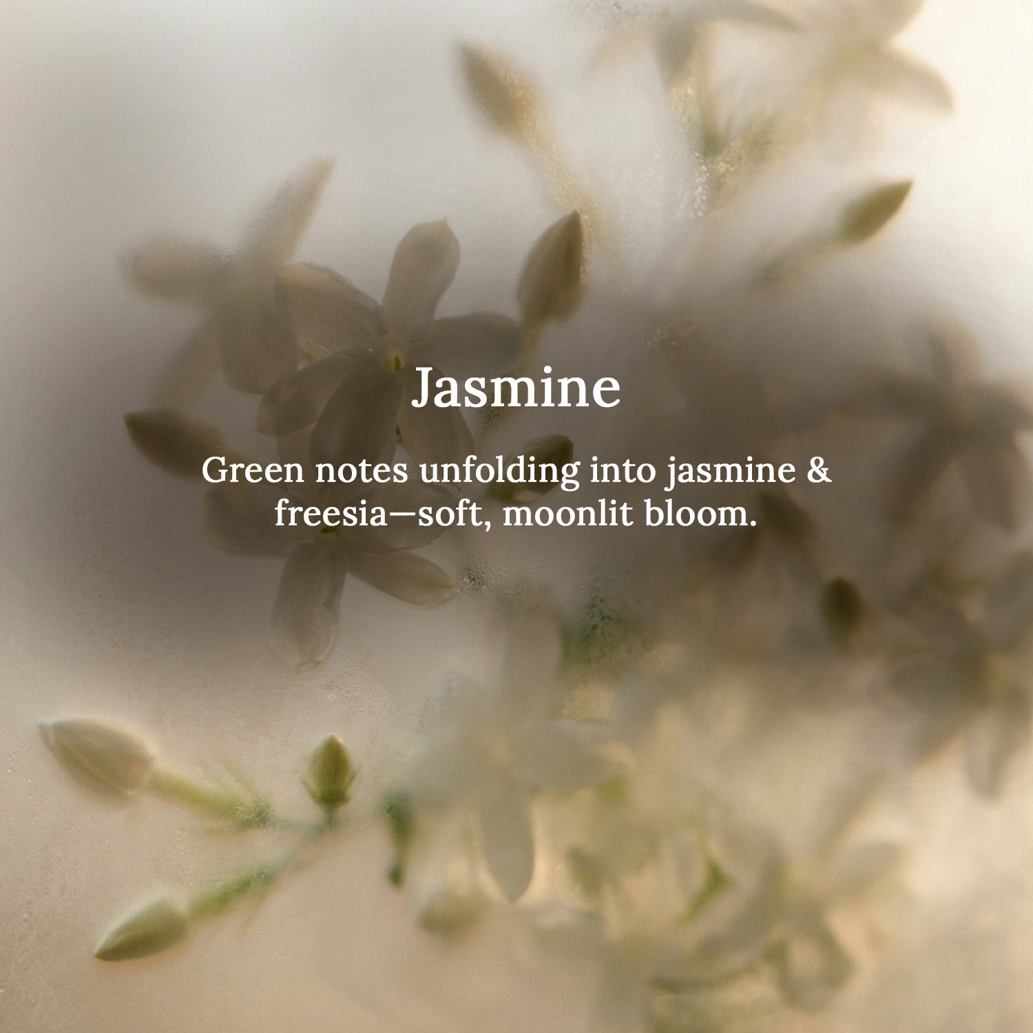 Jasmine Lampshade Scented Candle