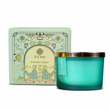 Cedar &amp; Mint 3 Wick Scented Candle