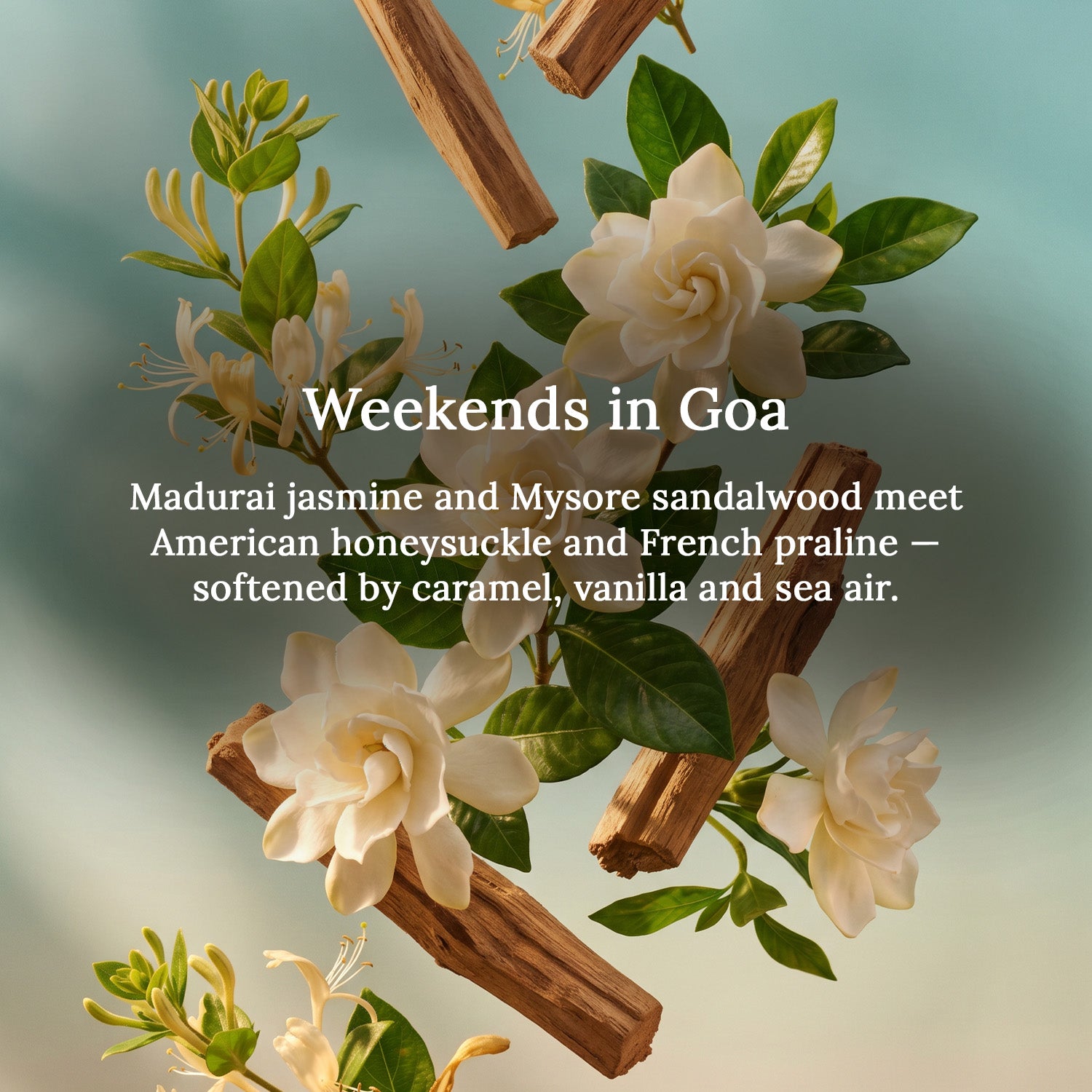 Weekends in Goa Perfume Spray | 60 ml