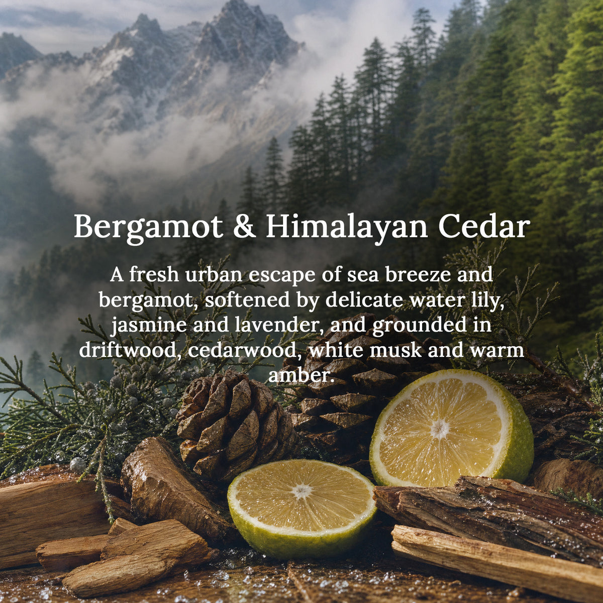 BERGAMOT &amp; HIMALAYAN CEDAR ROOM &amp; CAR SPRAY