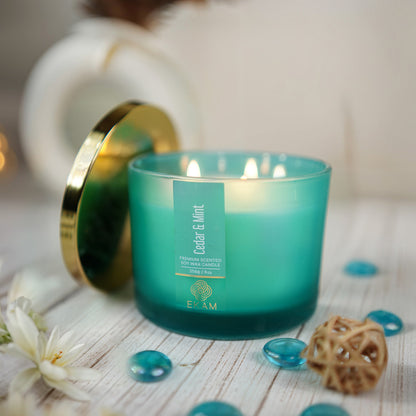 Cedar &amp; Mint 3 Wick Scented Candle