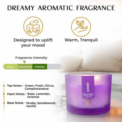 Lavender 3 Wick Scented Candle