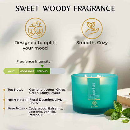 Cedar &amp; Mint 3 Wick Scented Candle