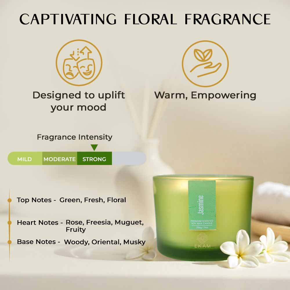 Jasmine 3 Wick Scented Candle