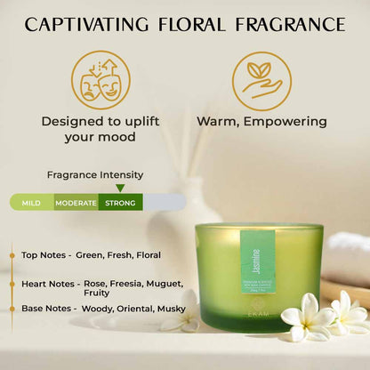 Jasmine 3 Wick Scented Candle