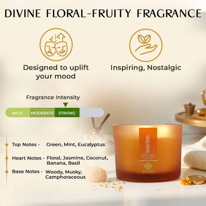 Temple Bloom 3 Wick Scented Candle