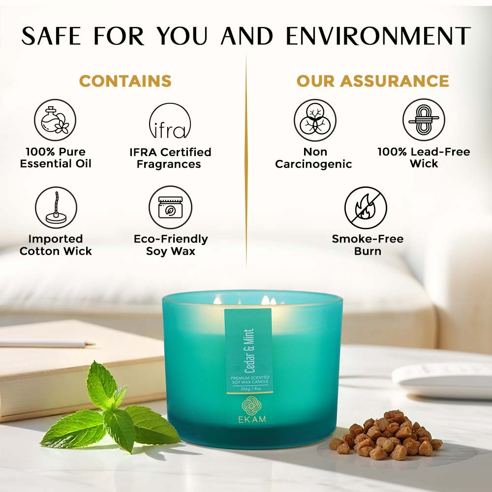 Cedar &amp; Mint 3 Wick Scented Candle