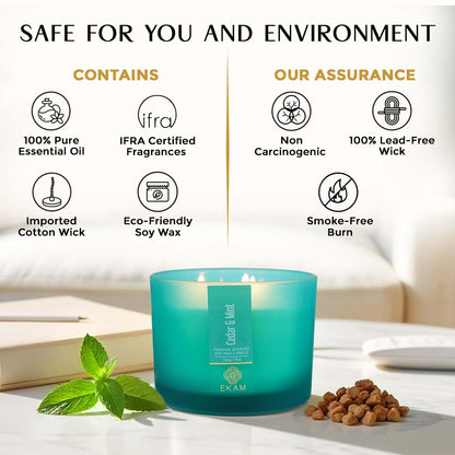 Cedar &amp; Mint 3 Wick Scented Candle