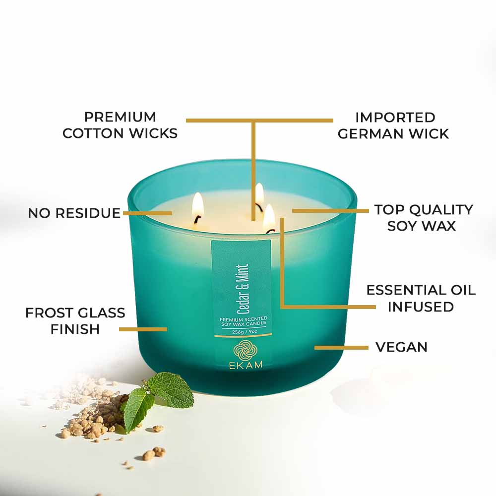Cedar &amp; Mint 3 Wick Scented Candle