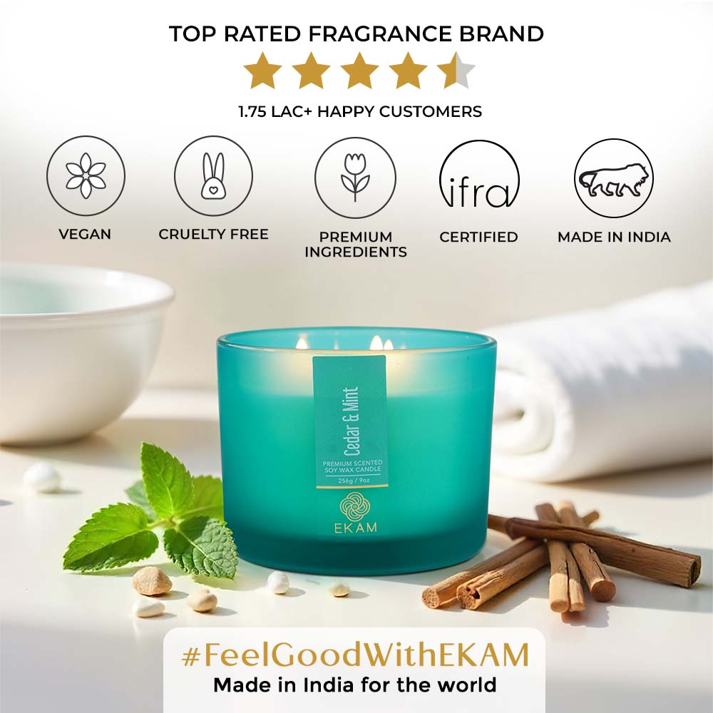 Cedar &amp; Mint 3 Wick Scented Candle