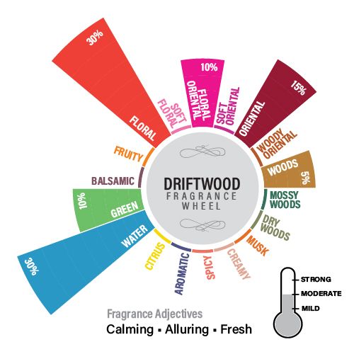 Driftwood Reed Diffuser Refill Pack, 50ml