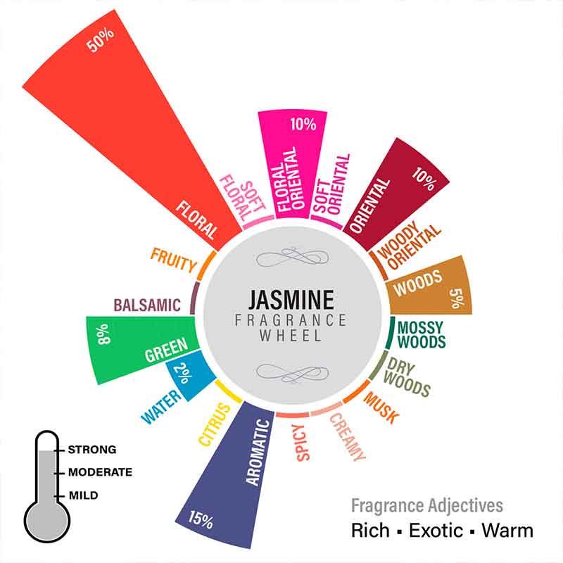 Jasmine Hexa Jar Scented Candle