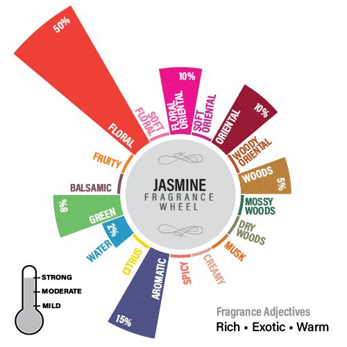 Jasmine Reed Diffuser Refill Pack, 50ml