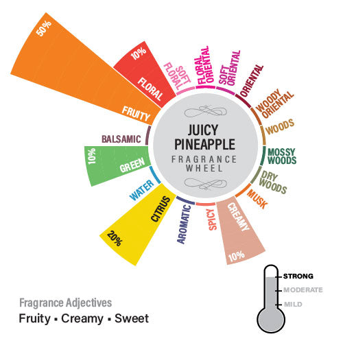 Juicy Pineapple Premium Reed Diffuser Set, Fruity Series