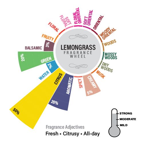 Lemongrass Reed Diffuser Refill Pack, 50ml
